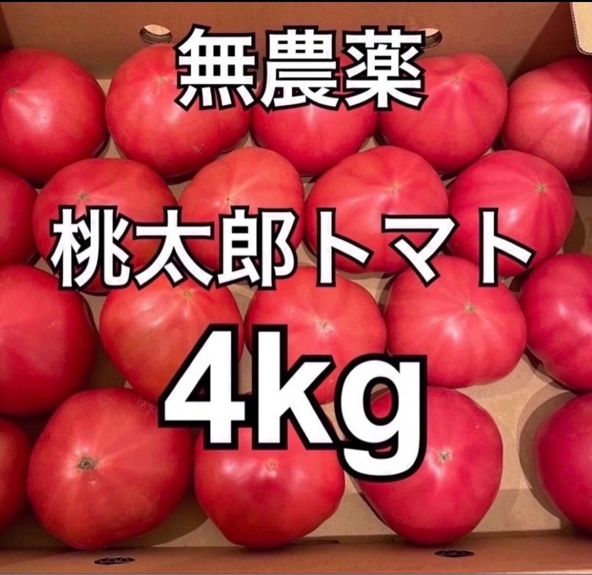 無農薬　桃太郎トマト　B品　4kg