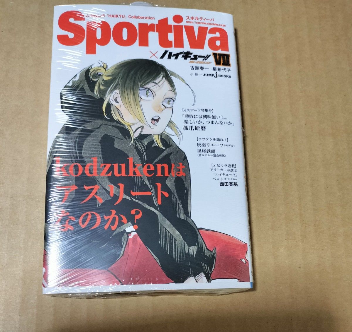 未開封　シュリンク付き　ハイキュー　ショーセツバン　スポルティーバ　７巻　表紙　孤爪研磨　孤爪　研磨　音駒　小説