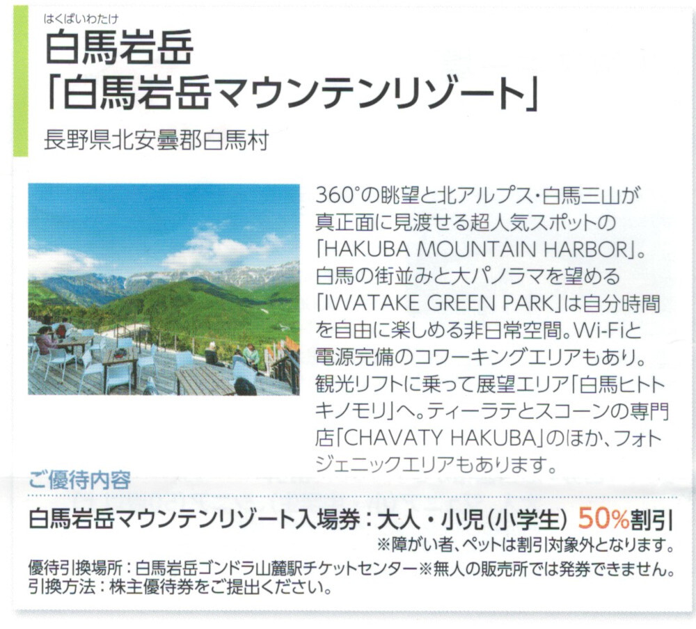 ゴンドラAA☆白馬岩岳マウンテンリゾート入場券半額券 1～9枚ゴンドラ料金含の画像1