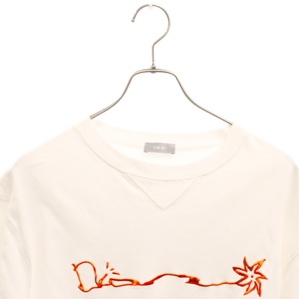 DIOR Dior 22AW× тигр vi s* Scott kaktas Jack Dior длинный рукав футболка с длинным рукавом белый 