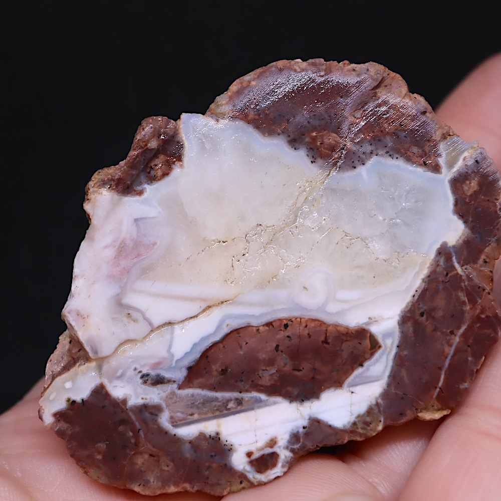 【送料無料】オレゴン州産 サンダーエッグ 原石 水晶 73.5g AG320 瑪瑙 鉱物 天然石 パワーストーン 原石の画像3