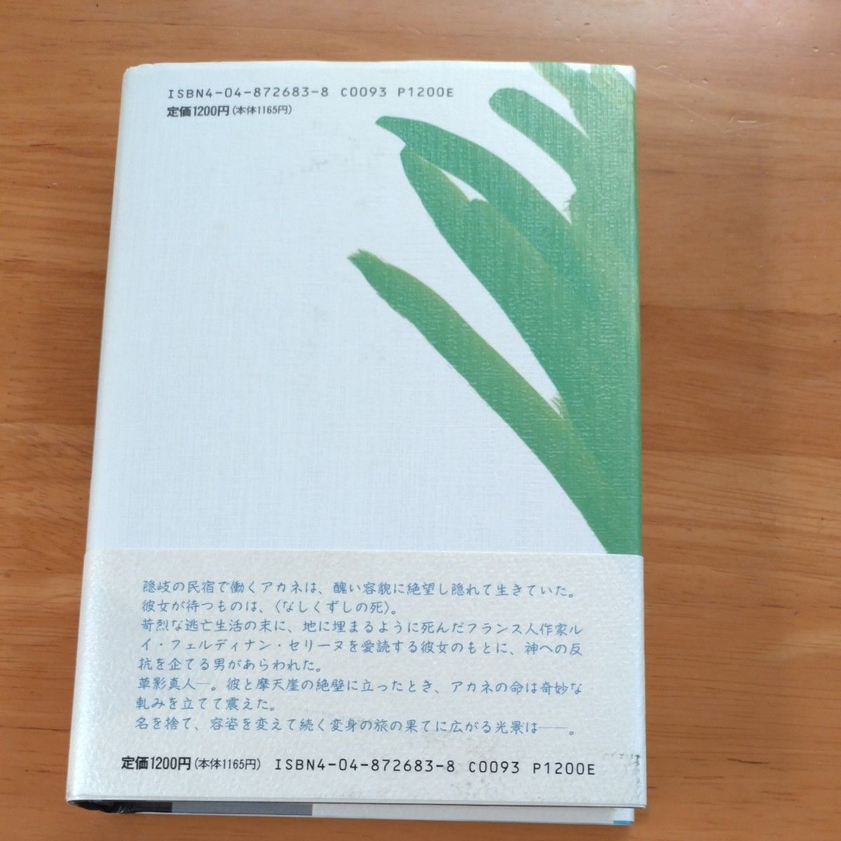 晴れた日には鏡をわすれて　五木寛之／著　角川書店　単行本