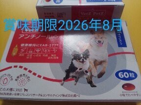 アンチノールプラス　即決６５００円 １箱６０入り 犬用サプリメント　アンチノール_画像3