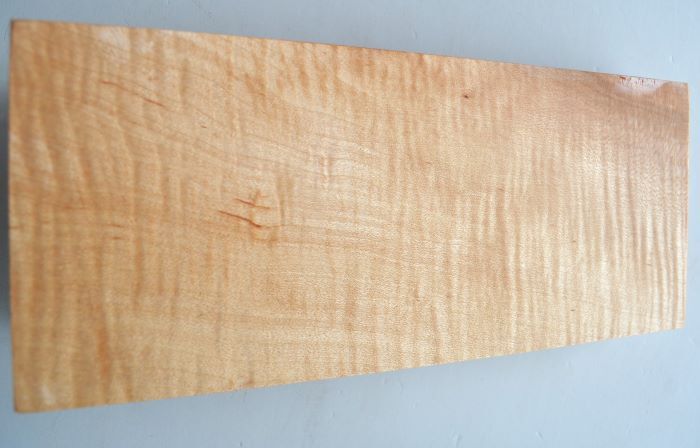  maple * maple *..*. tree *249×104× thickness 27 millimeter * postage 185 jpy *4