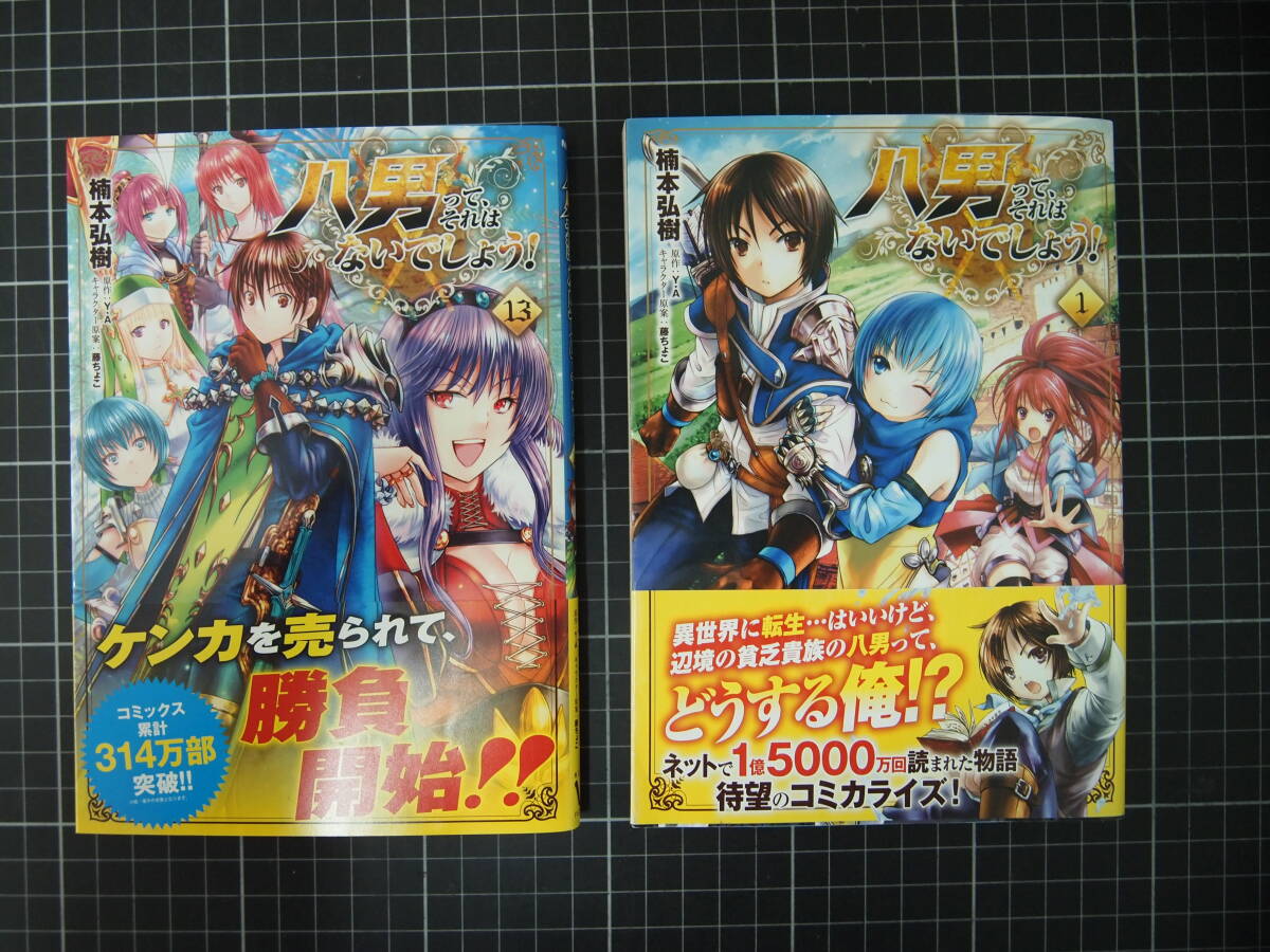 L-0005　八男って、それはないでしょう　ノベル　28冊+コミック　13巻　計41冊セット　全巻帯あり　ノベル全巻初版　コミック初版多数　_画像9