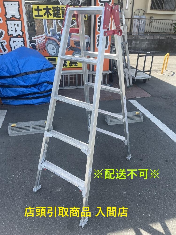 009V recommendation commodity * shop front pickup limited commodity VHasegawa Hasegawa ladder combined use flexible stepladder RYZ-15b