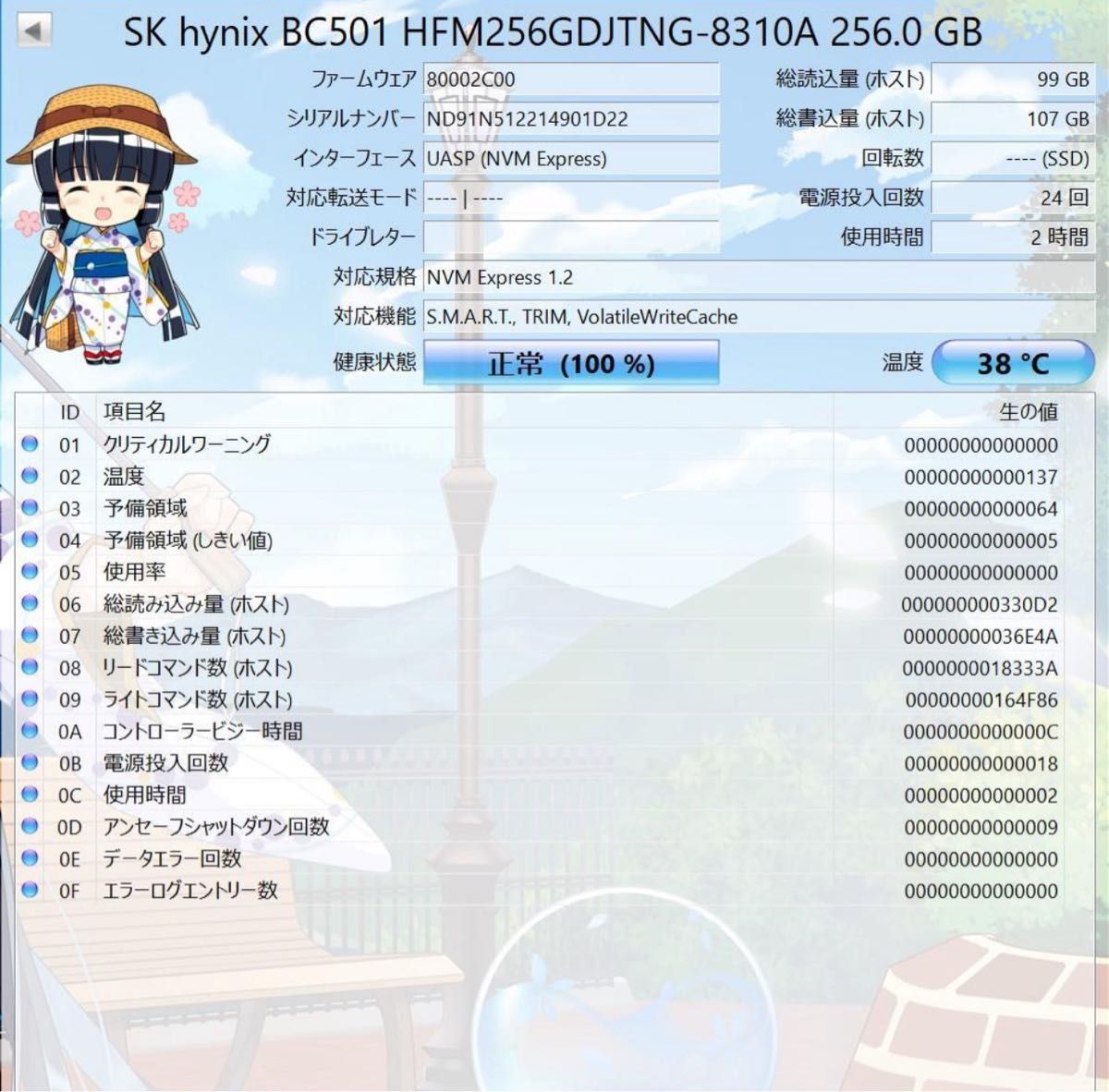 SK hynix BC501 NVMe M.2 2280 SSD 256GB