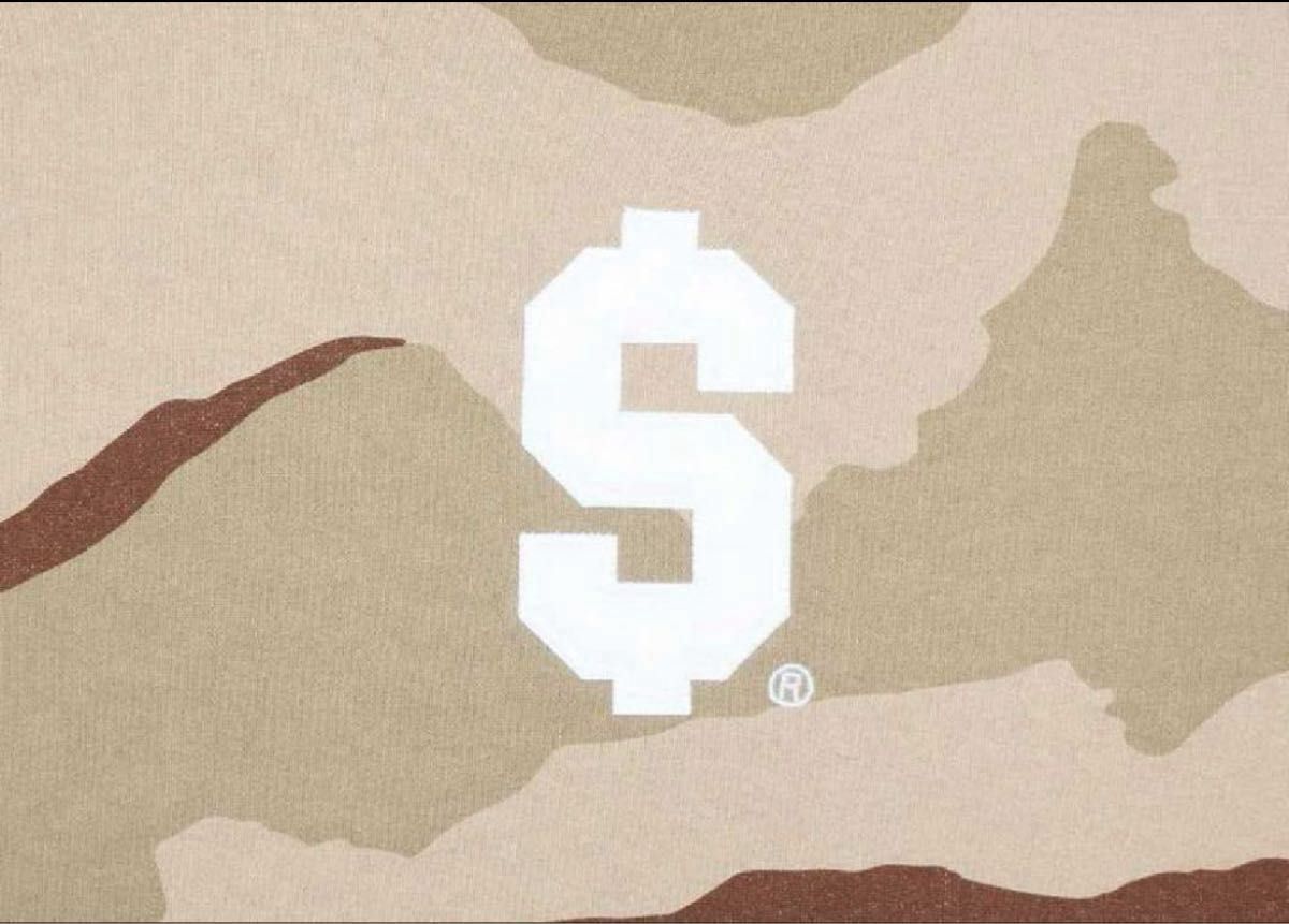 Supreme $ Hooded Sweatshirt Desert Camo シュプリーム 堀米雄斗 着用