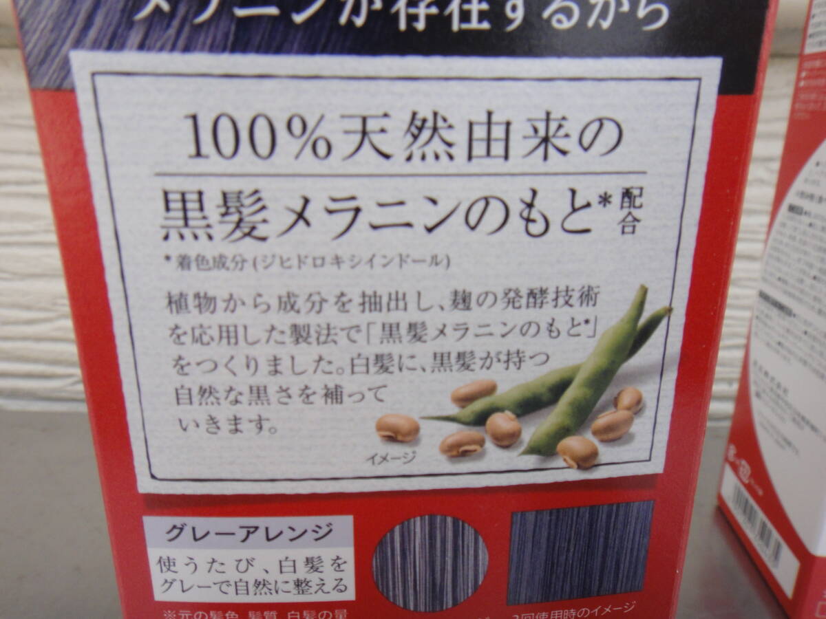 ●未使用 花王 リライズ 『ふんわり仕上げ』 白髪用髪色サーバー 2本まとめて グレーアレンジ 155g ③の画像6