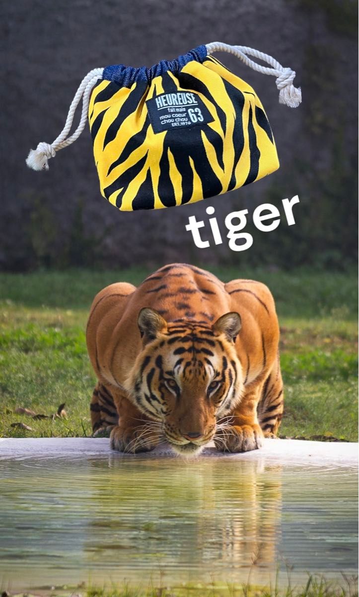 animal柄の巾着袋　虎　tiger  匿名配送