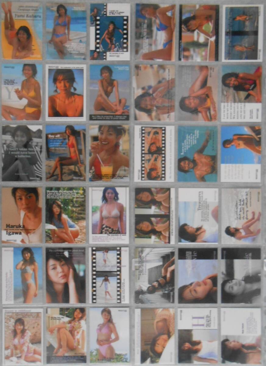 Sweet Lips「CAMPAIGN GIRL COLLECTION CARD 2000」 トレーディングカード レギュラー&SS&SL&プロモ&直筆 合計１１９枚の画像2