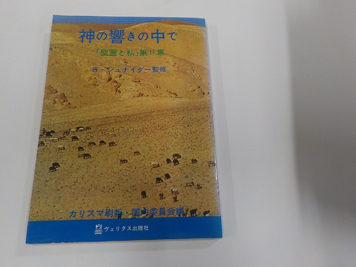 18V0679◆神の響きの中で 「聖書と私」第2集 B・シュナイダー ヴェリタス出版社 シミ・汚れ・書き込み有☆_画像1