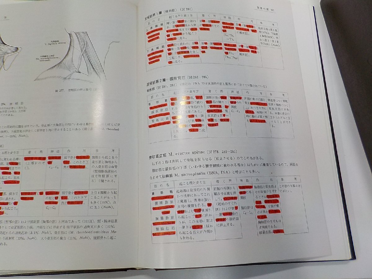 SS090◆分担 解剖学 1～3巻セット 総説・骨学・靱帯学・筋学 脈管学・神経系 感覚器学・内蔵学 森於菟 ほか 金原出版 線引き多♪_画像2