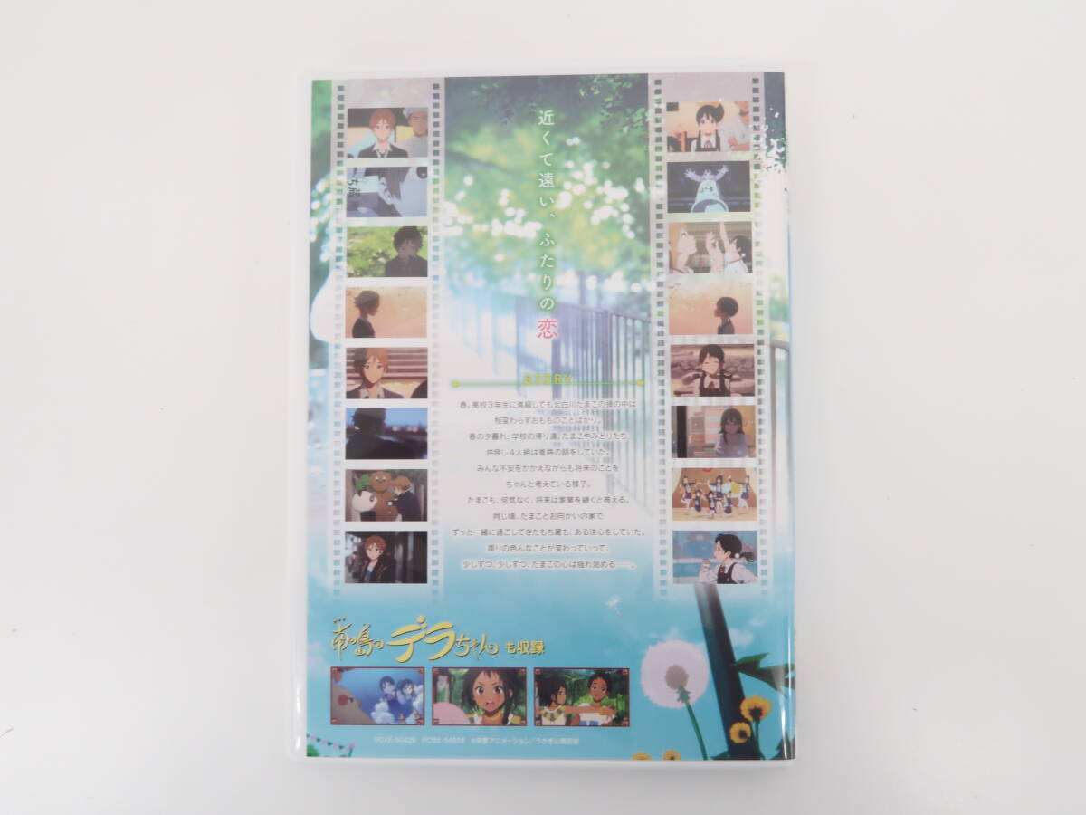 EF2848/映画 たまこラブストーリー 通常版 Blu-ray_画像4