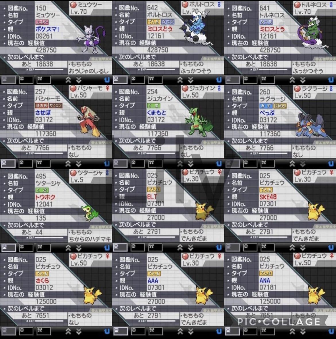 【ポケモン】ブラック2 配信 6vメタモン付き 道具完備 ポケットモンスター_画像8