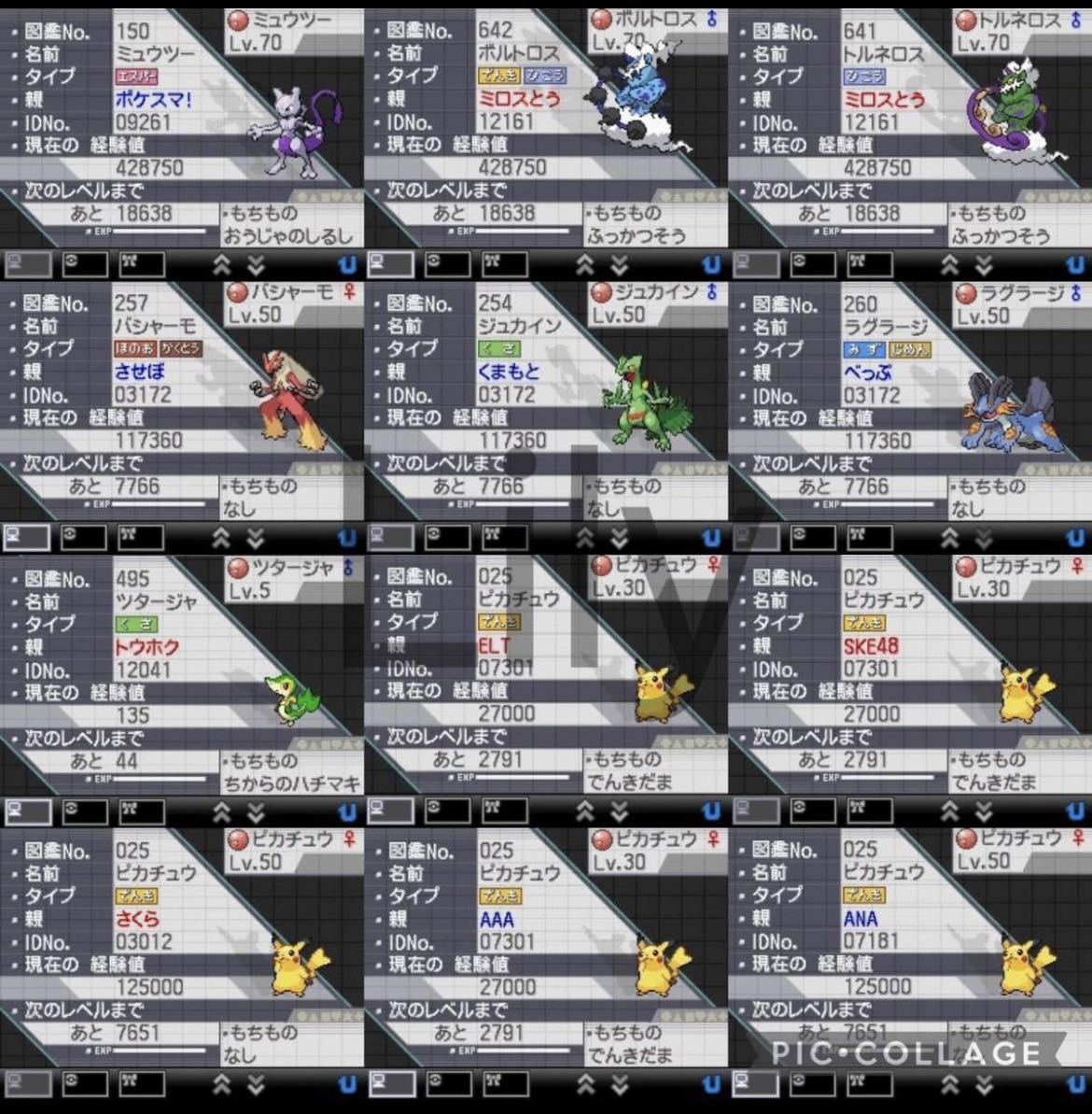 【ポケモン】ホワイト2 配信 6vメタモン付き 道具完備 ポケットモンスター　ケースなし_画像8