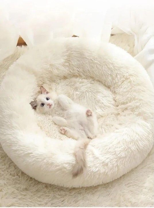 ペットベッド 犬 猫 ベッド クッション 黄色 イエロー ラウンド型 丸型 もふもふ ふわふわ  50cm マーブル シンプル