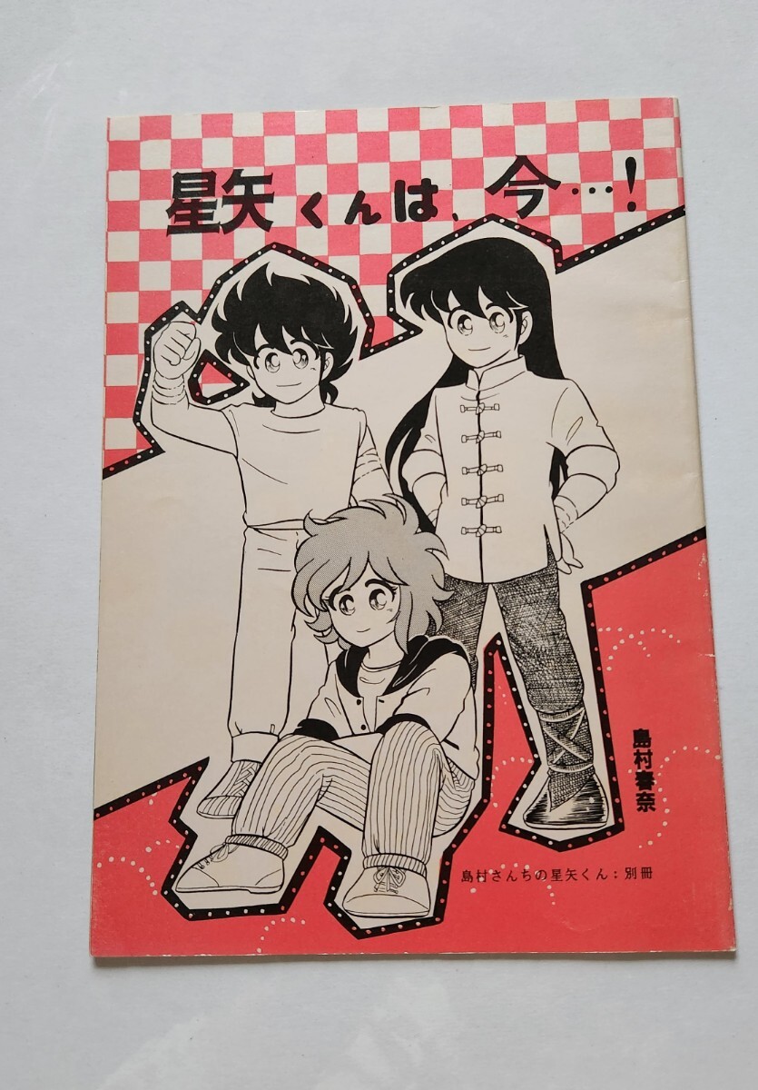 【同人誌】聖闘士星矢 「島村さんちの星矢くん別冊 星矢くんは、今・・・！」島村春奈様の画像1