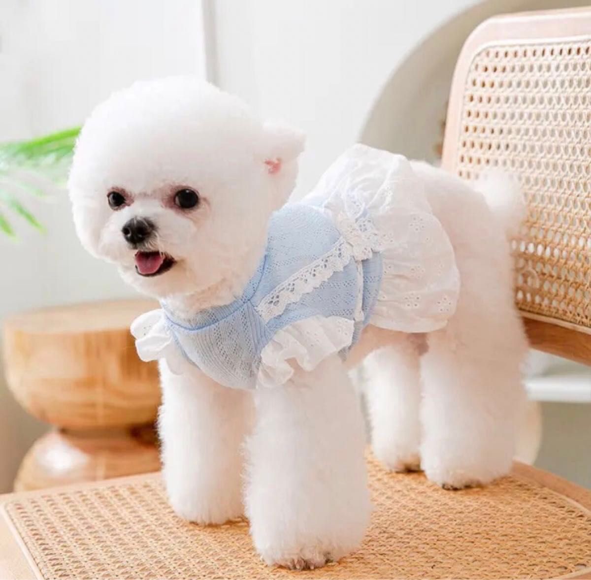 【ピンクSサイズ】犬服　レース　リボン　ワンピース　ドッグウェア