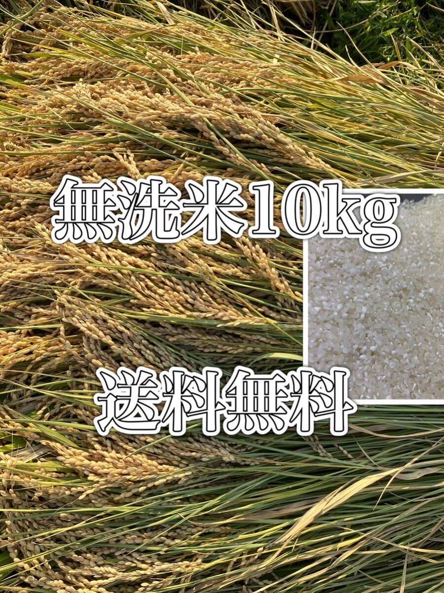  новый рис . мир 5 год 10kg прекрасный тест ... рис бесплатная доставка musenmai . сделка 1
