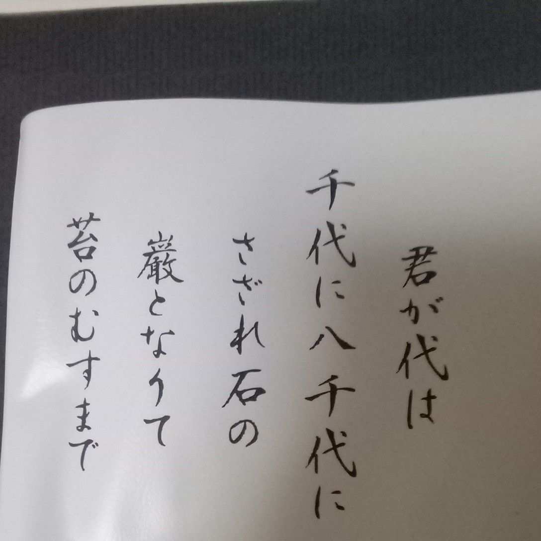 ☆新品　長期保管品　シワ、型有ります。 旭日旗　君が代　車検証入れ