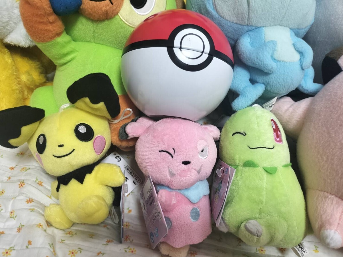 １円～ポケモン ぬいぐるみ メッソン サルノリ フォッコ ワンパチ ヒバニー ピカチュウ マリル ピチュー モンスターボール 21点セットの画像8