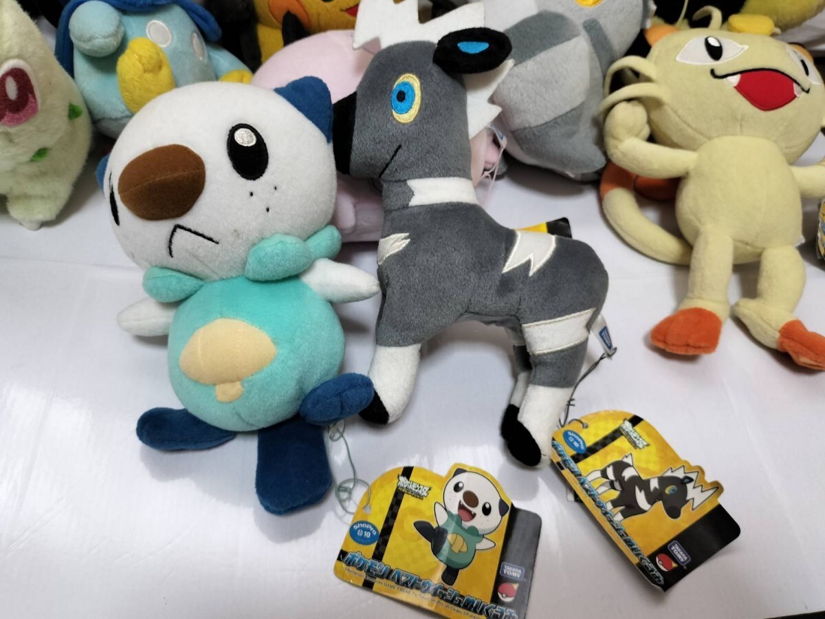 １円～ポケモン ぬいぐるみ タカラトミー ピチュー ザルード ココ ピカチュウ ホエルコ デデンネ ワシボン ポッチャマ マメパト 14点セットの画像2