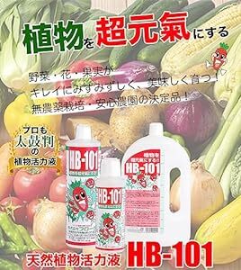 フローラ 植物活力剤 HB-101 緩効性 アンプル 10本入り 30ml(原液6mlサンプル付きの画像2