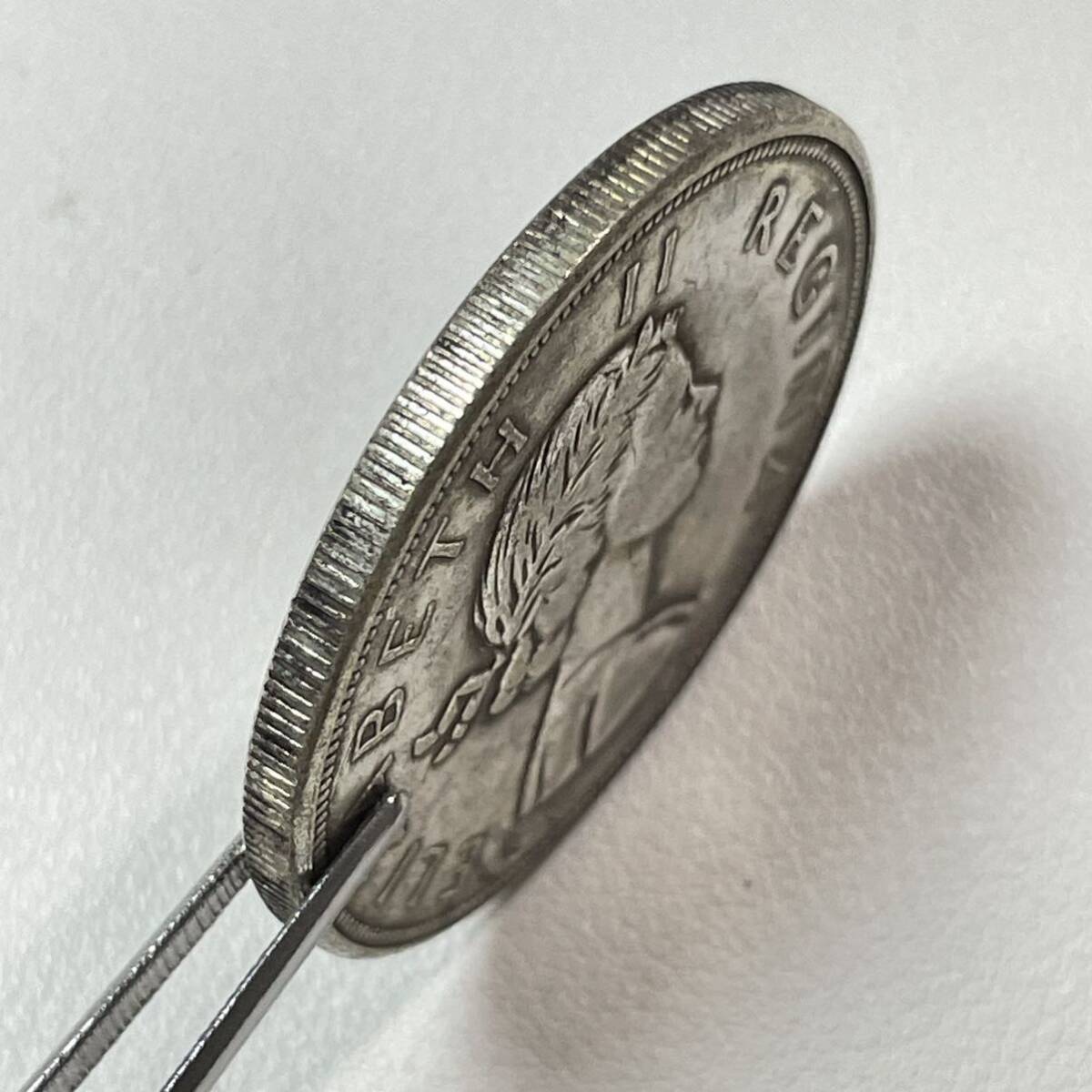 南アフリカ 硬貨 古銭 エリザベス2世 1953年 イギリス領南アフリカ スプリングボック 跳羚羊 コイン 重26.02gの画像3