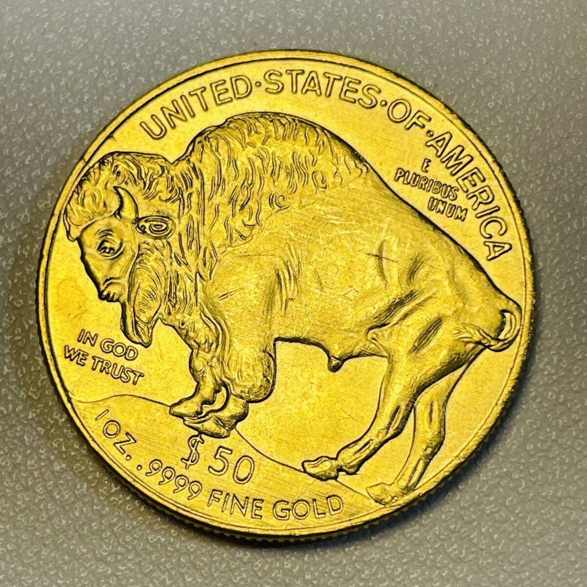 アメリカ 硬貨 古銭 アメリカン・インディアン 2019年 セントラルパーク動物園 水牛 ブラックダイヤモンド コイン 重15.63gの画像2