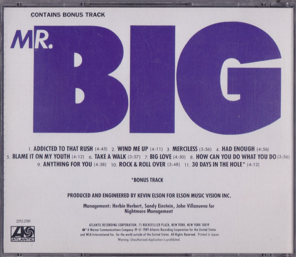 MR. BIG / ミスター・ビッグ /中古CD!!69856/C_画像5