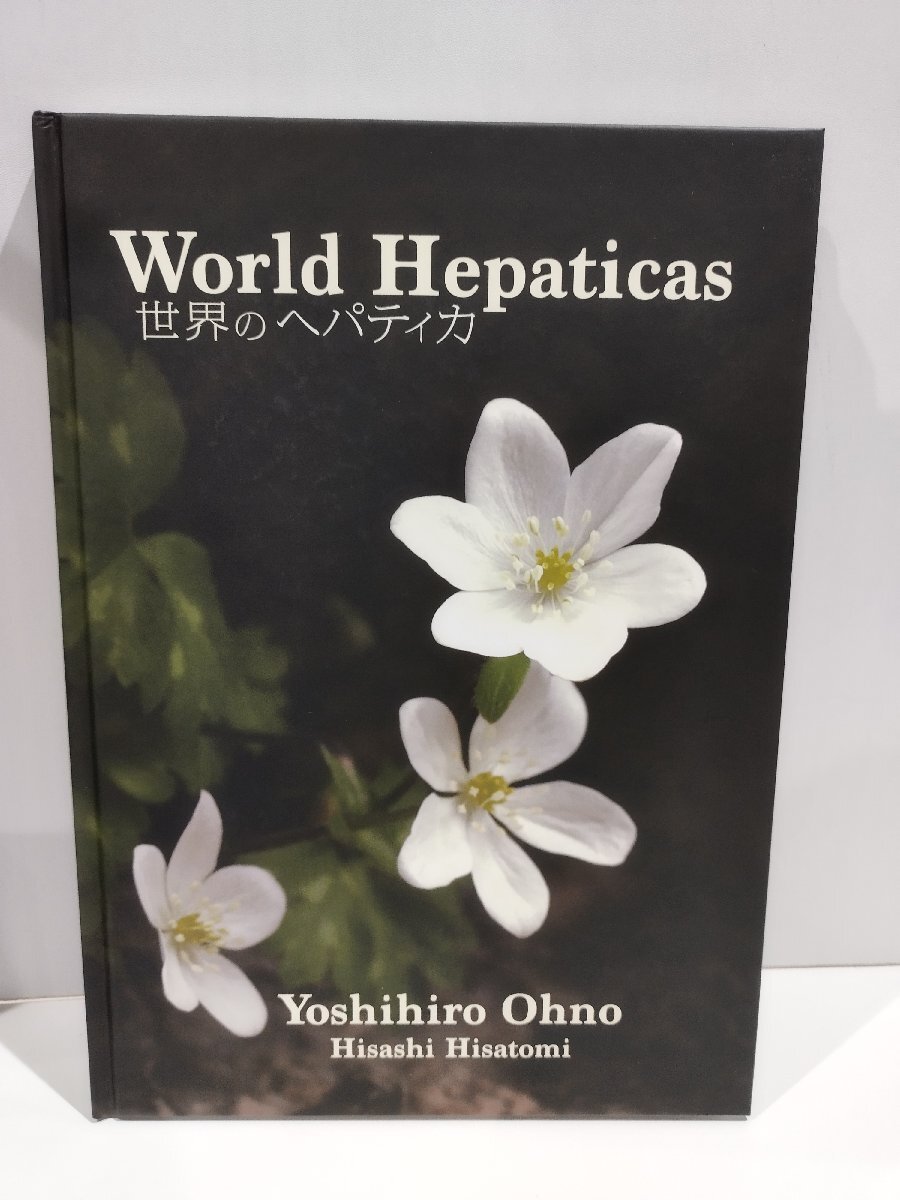 【希少】World Hepaticas 世界のヘパティカ　大野好弘/久富寿　成蹊大学アジア太平洋研究センター【ac04k】_画像1