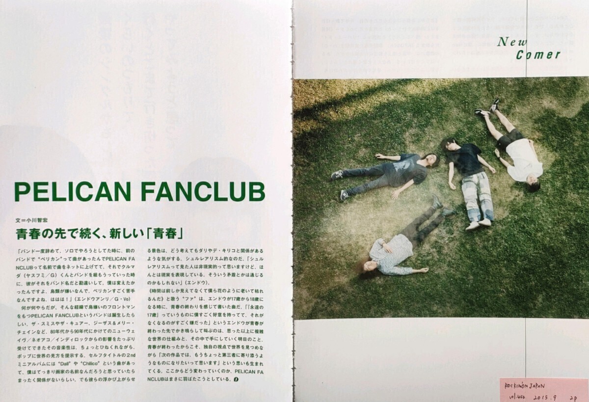 【切り抜き】PELICAN FANCLUB 33ページ ペリカンファンクラブ