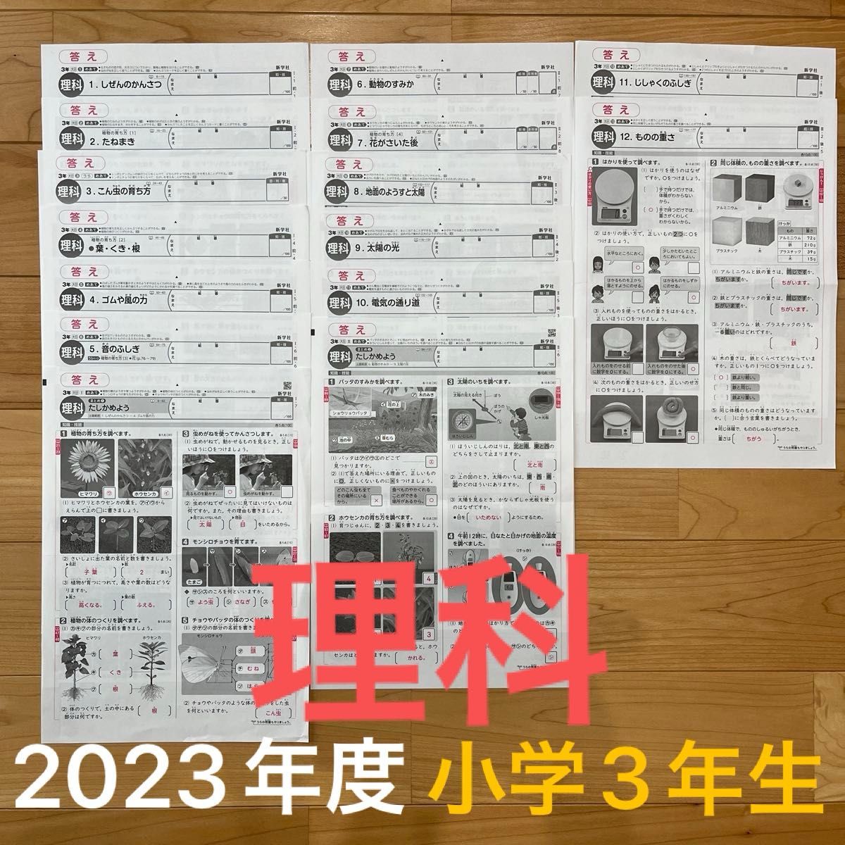 カラーテスト 小学3年生 理科 答え てびきシート 見直しシート カラーテスト 小学3年生 理科 答え てびきシート 見直しシート