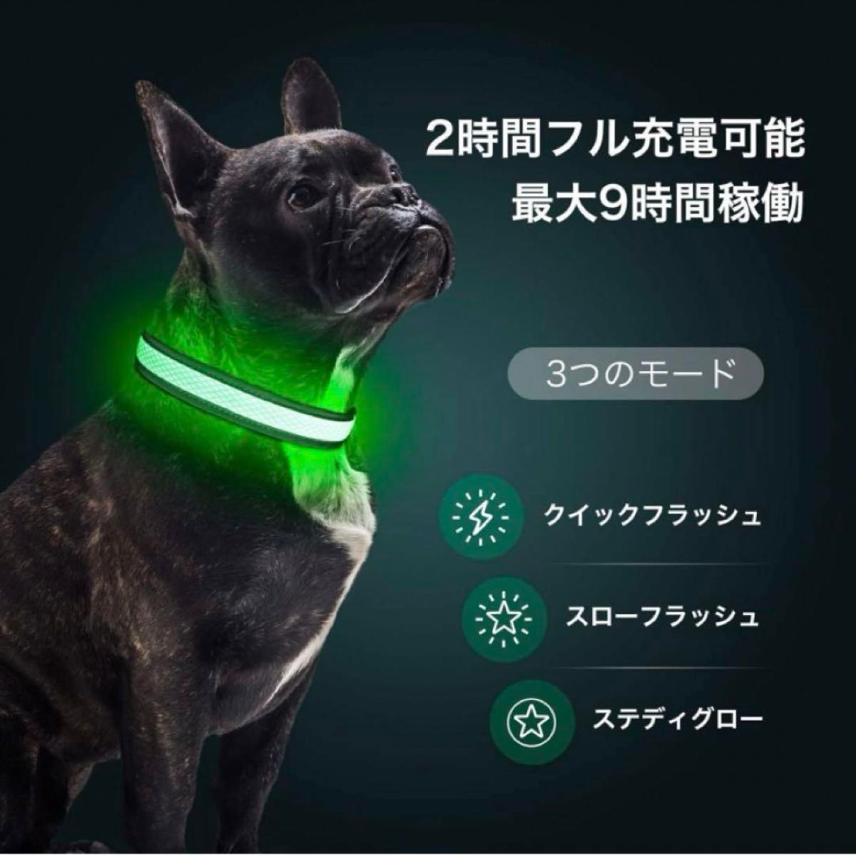 Sサイズ光る首輪 犬 散歩 夜 ライト LED 超明るい USB充電式