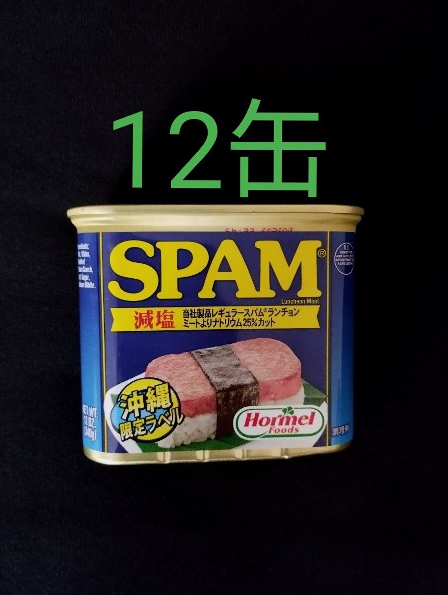 沖縄 SPAM スパム減塩 340g 12缶