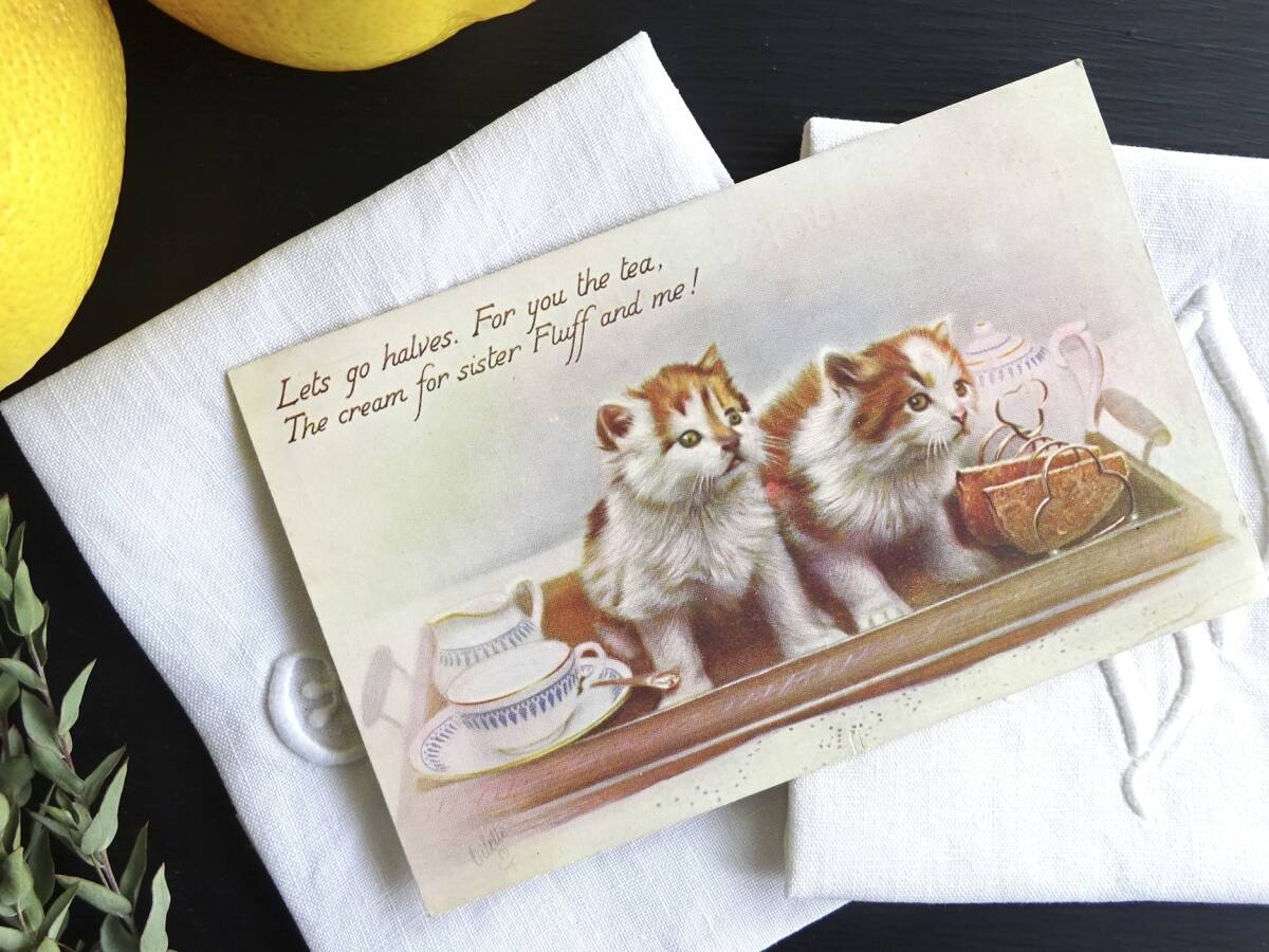 1900年代 フランス 猫のポストカード イラスト 民藝 工藝 オブジェ 美術 骨董 古道具 アンティーク ヴィンテージ_画像4
