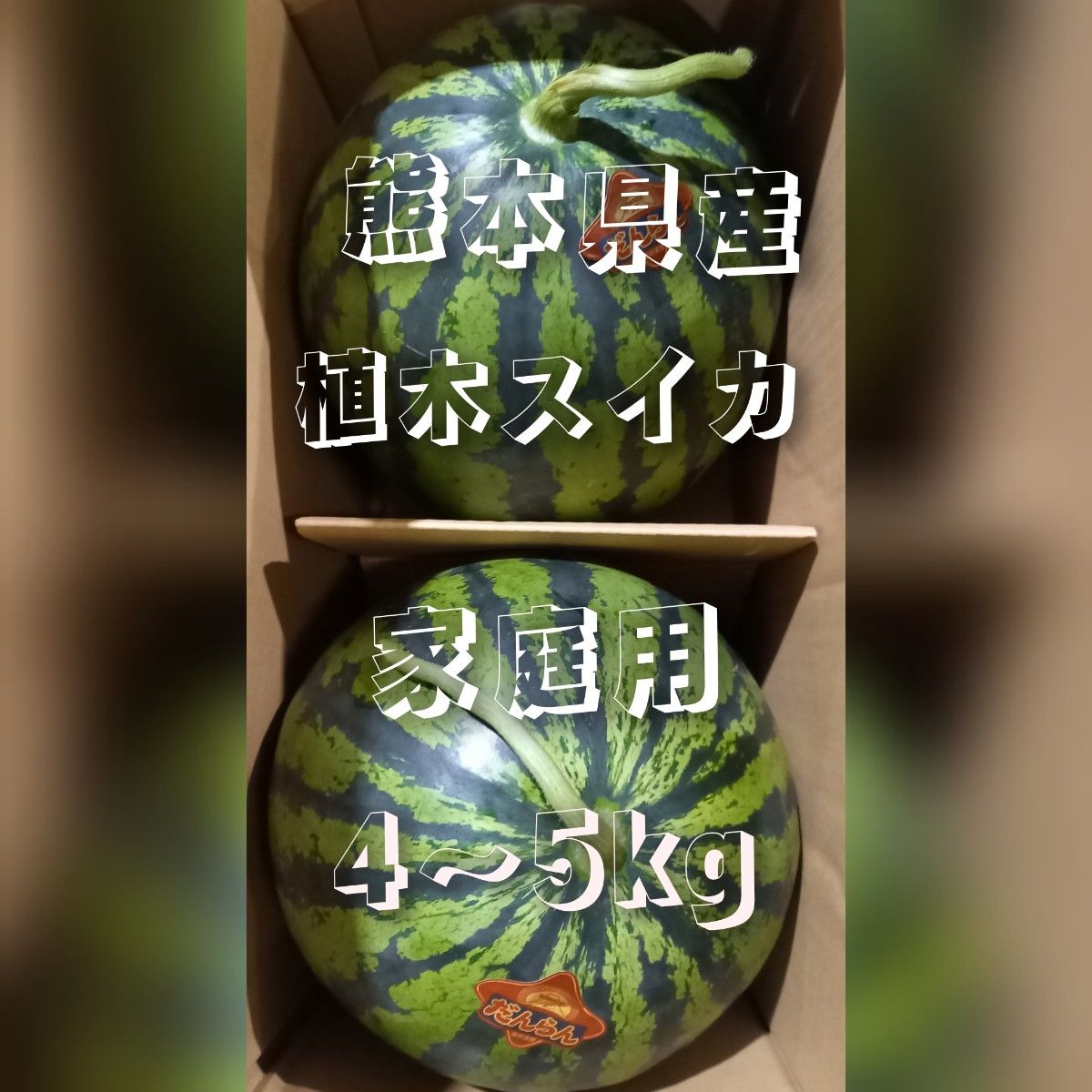 翌日までに発送！熊本県産植木スイカ　家庭用2玉入り(1玉4～5kg程度)