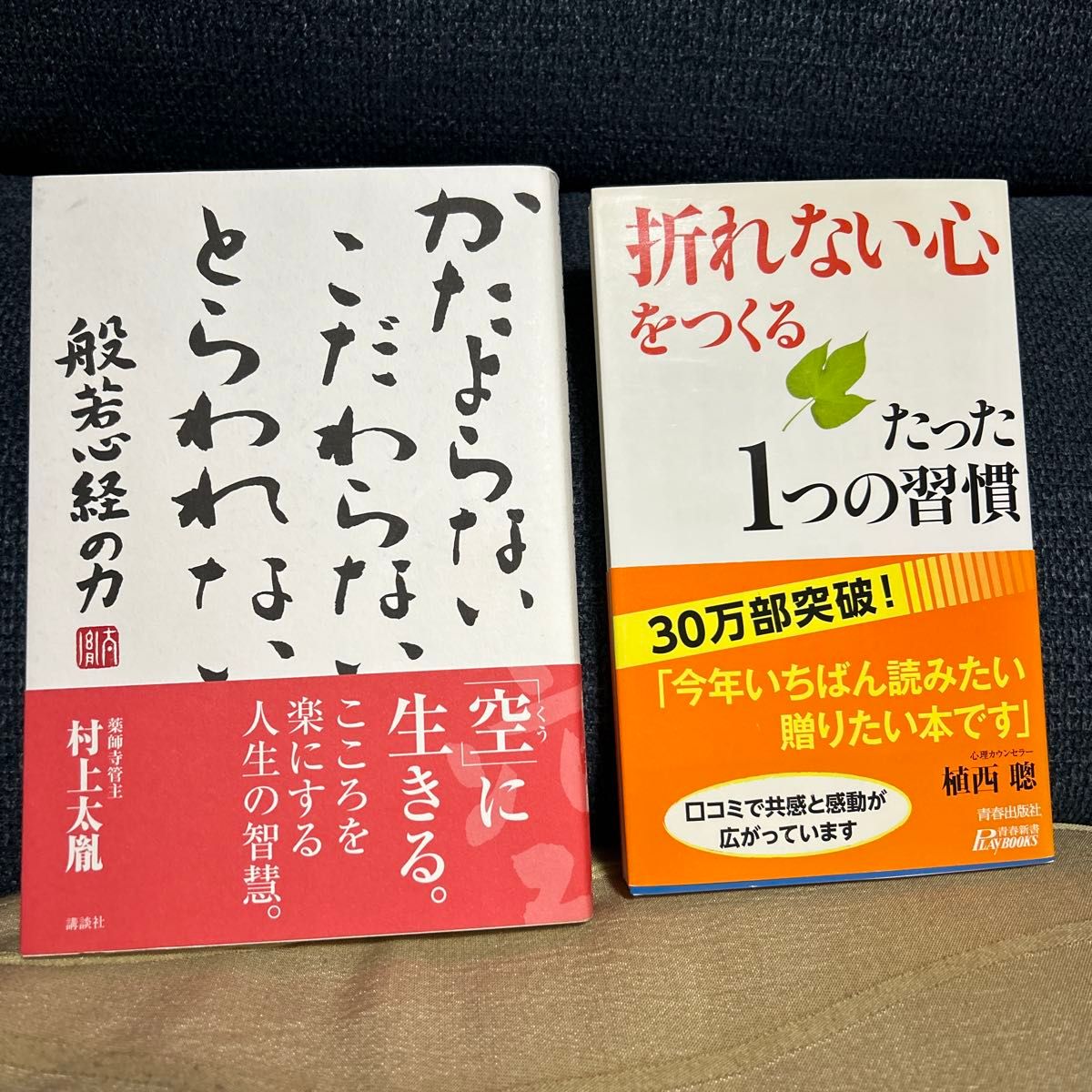 かたよらないこだわらないとらわれない　般若心経の力 村上太胤／著　折れない心を作るたった1つの習慣の2冊