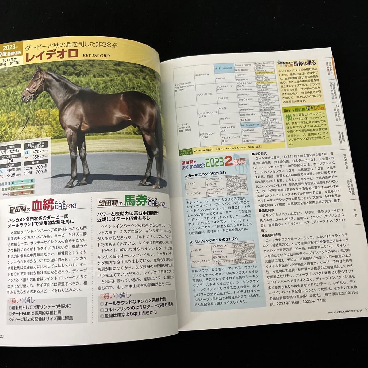 パーフェクト種牡馬辞典○2023-2024○2023年4月1日発行○ 種牡馬系統表○ディープインパクト○ロードカナロア_画像4