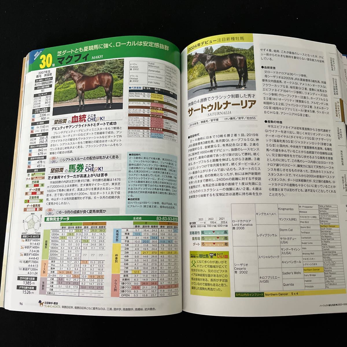 パーフェクト種牡馬辞典○2023-2024○2023年4月1日発行○ 種牡馬系統表○ディープインパクト○ロードカナロア_画像5