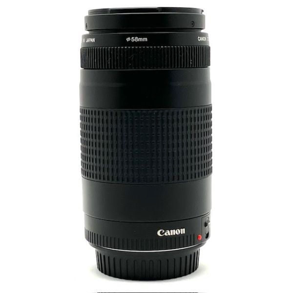 仙53【レンズ】Canon EF 75-300mm F4-5.6 II ズームレンズ カメラレンズ キャノン 一眼レフ用_画像7