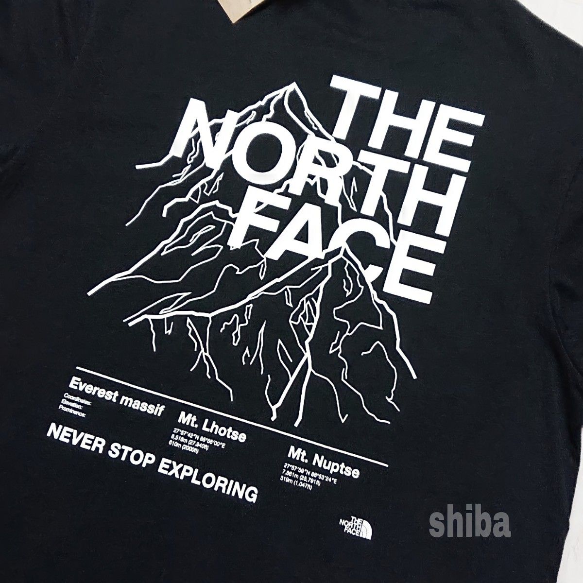 THE NORTH FACE ノースフェイス　tシャツ 半袖 黒 ブラック 白 ホワイト マウンテン アウトライン 海外Sサイズ