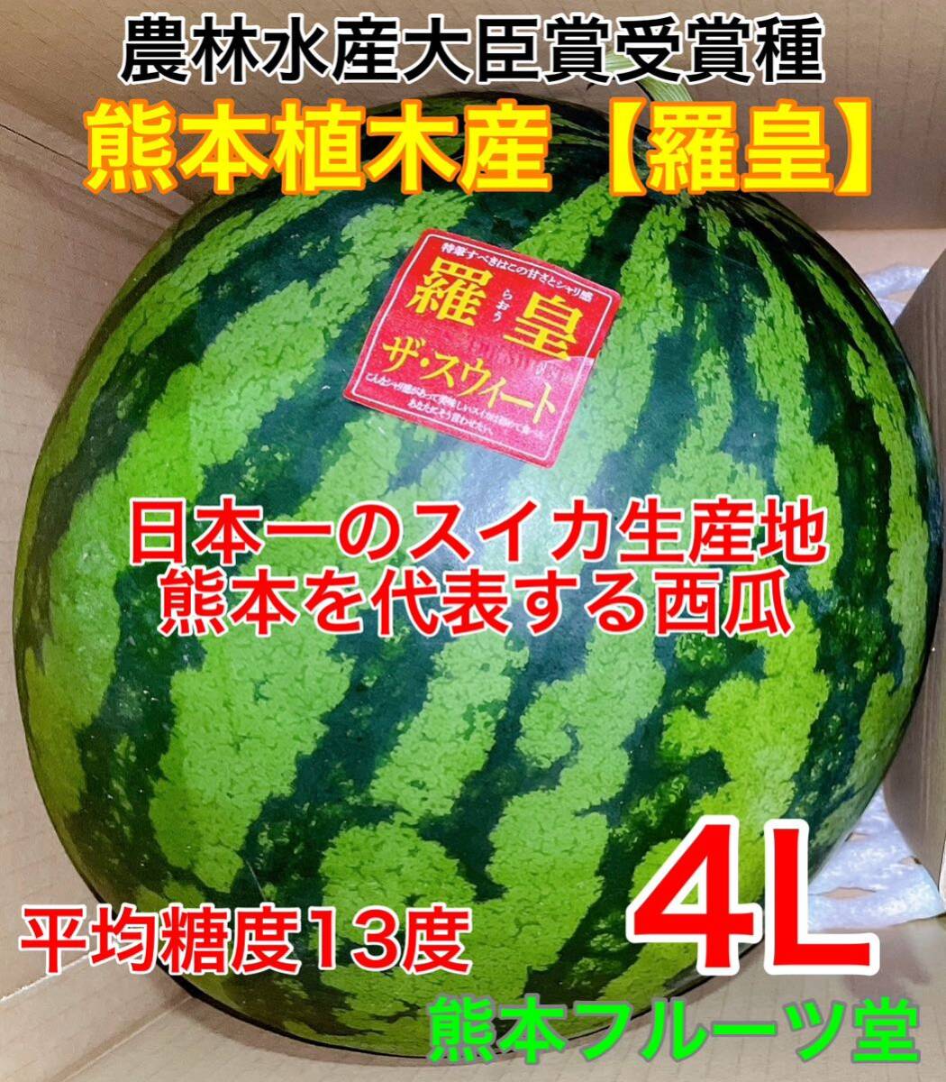 『今期初出品』熊本産【羅皇】秀品4Lサイズ（1玉9〜10kg）熊本フルーツ堂1_画像1