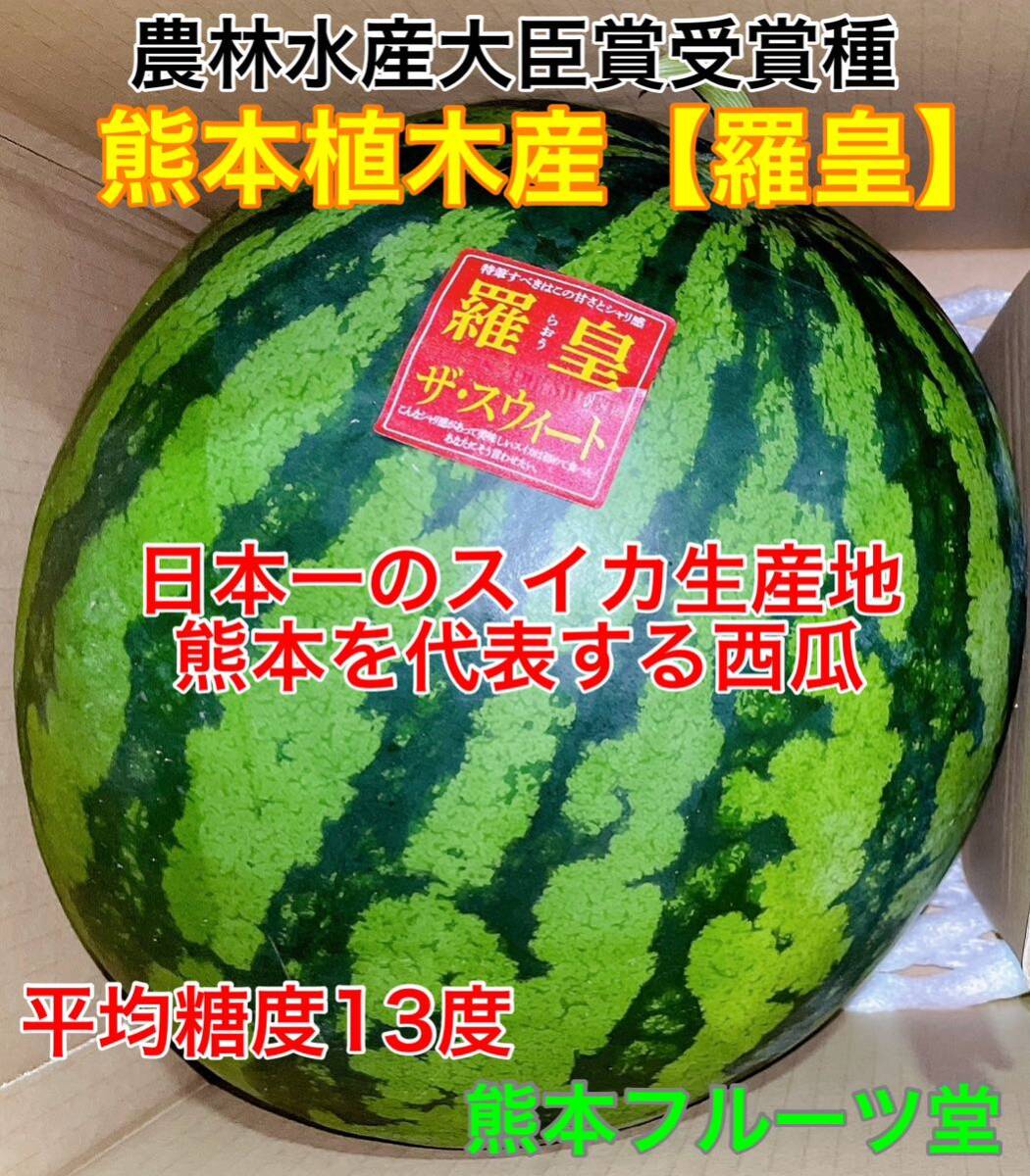 『甘くて食感がいい』熊本産【羅皇】秀品Mサイズ（1玉5〜6kg）熊本フルーツ堂1の画像6