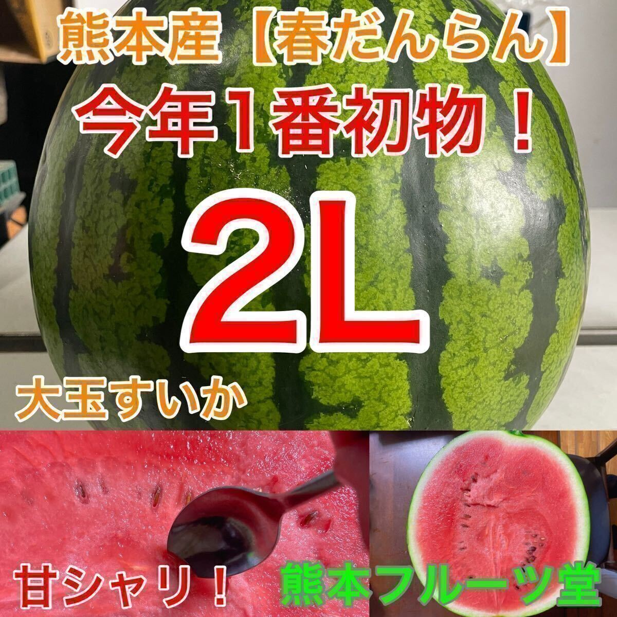 熊本産【春だんらん】2Lサイズ（1玉7〜8kg）熊本フルーツ堂21_画像1