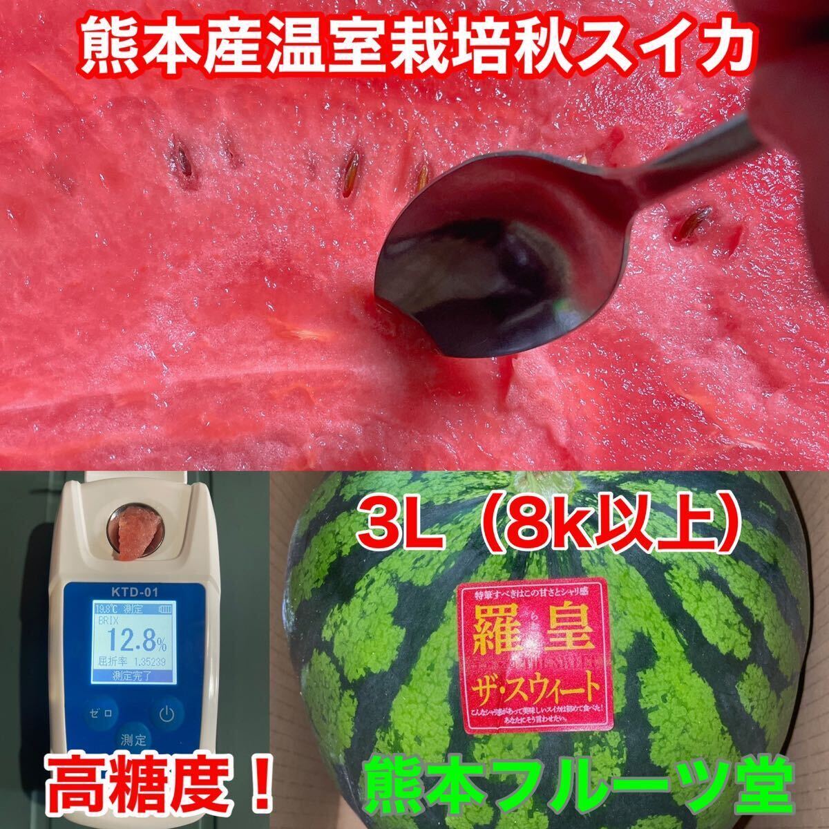 『今期初出品』熊本産【羅皇】秀品3Lサイズ（1玉8〜9kg）熊本フルーツ堂2の画像5