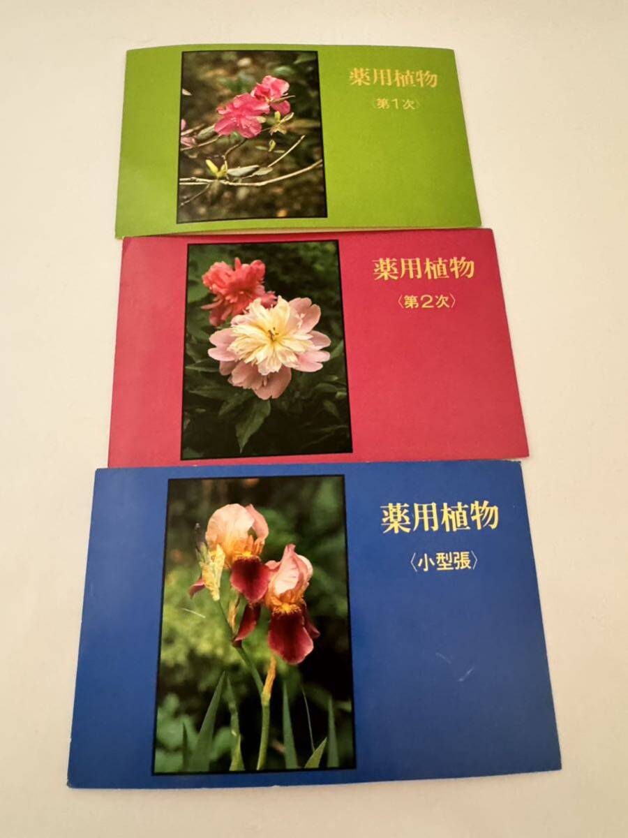 【未使用】中国 切手 薬用植物 3セット 1978年 1982年 中國人民郵政 第1次 第2次 小型張 の画像2