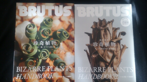 ▼ BRUTUS ブルータス No.808 821 珍奇植物 2冊セット ボタニカル 17 ボタニカル 2018 872 サボテン 多肉 塊根植物 コーデックス 2024 _画像1