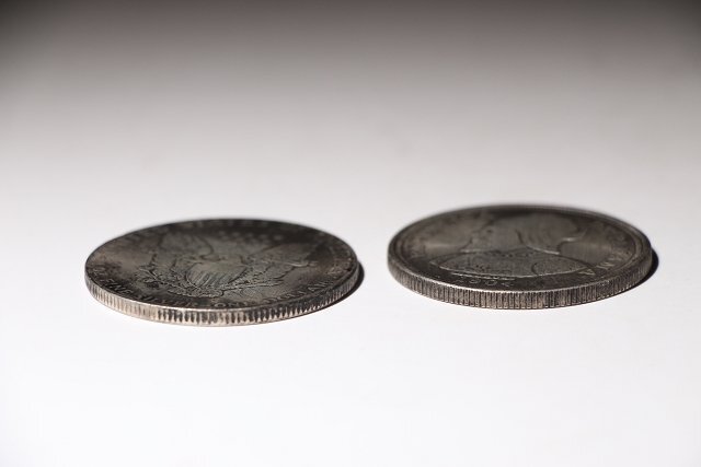 ☆撫子☆欧洲銀貨 アメリカ1906年・パナマ1904年 (検)リバティコイン イーグル銀貨 硬貨 外貨 記念コインの画像4
